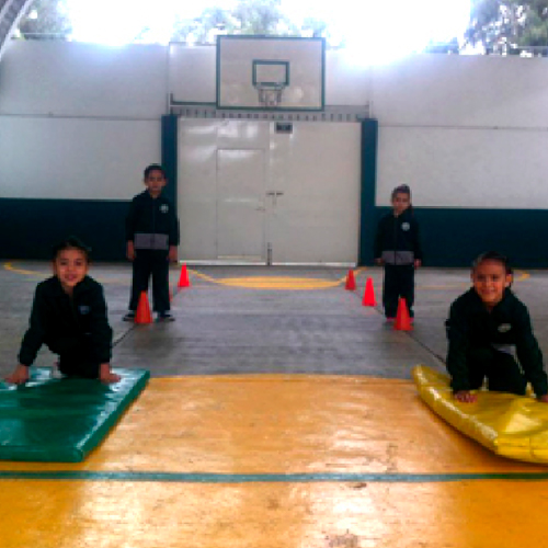 Actividad